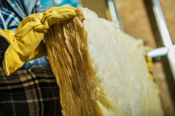 Best Affordable Insulation Services  in Oak Hill, OH