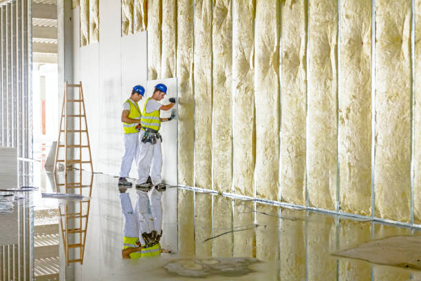 Insulation Inspection Services in Oak Hill, OH